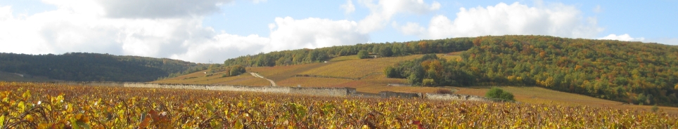 Banniere Commune de Sercy